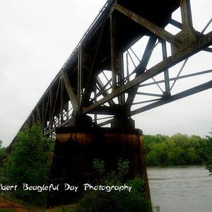 8 by 10 Photography Print Train Tracks